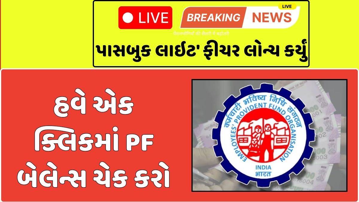 Epfo launches passbook lite